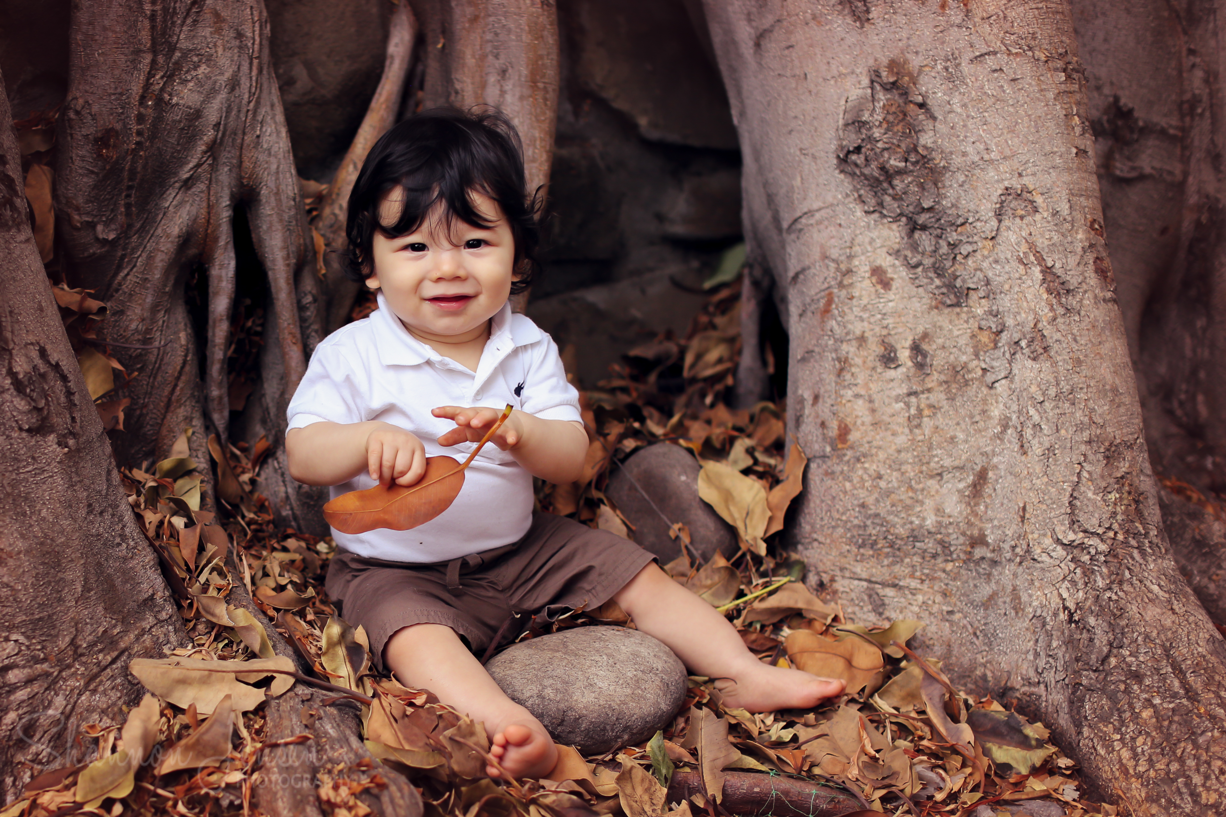 San Diego Newborn Photographer Balboa Park Halloween Mini » San